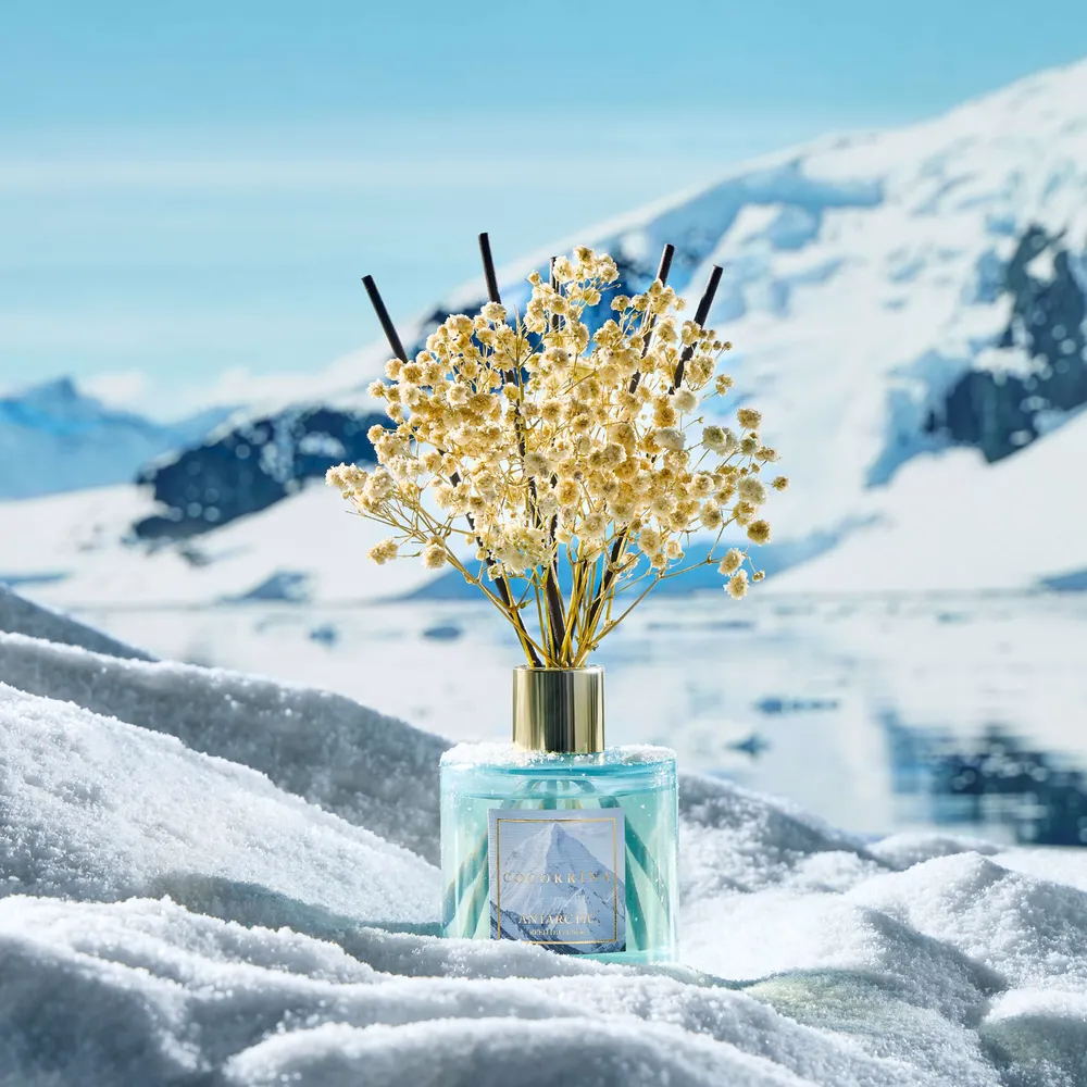 Difusor de varillas COCORRÍNA Antarctica COCORRÍNA®