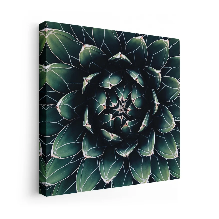 Corazón de Cactus Poster
