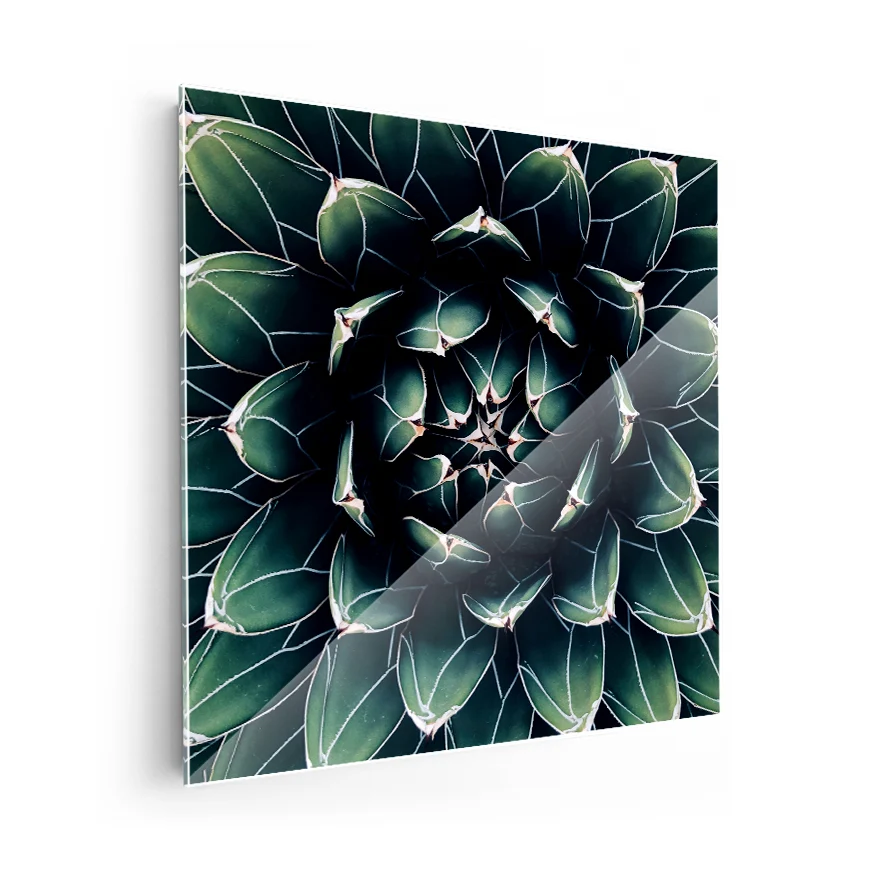 Corazón de Cactus Poster