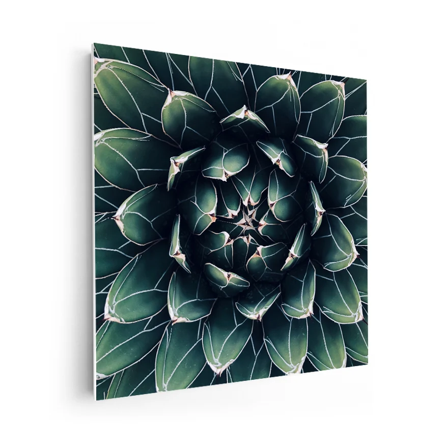 Corazón de Cactus Poster