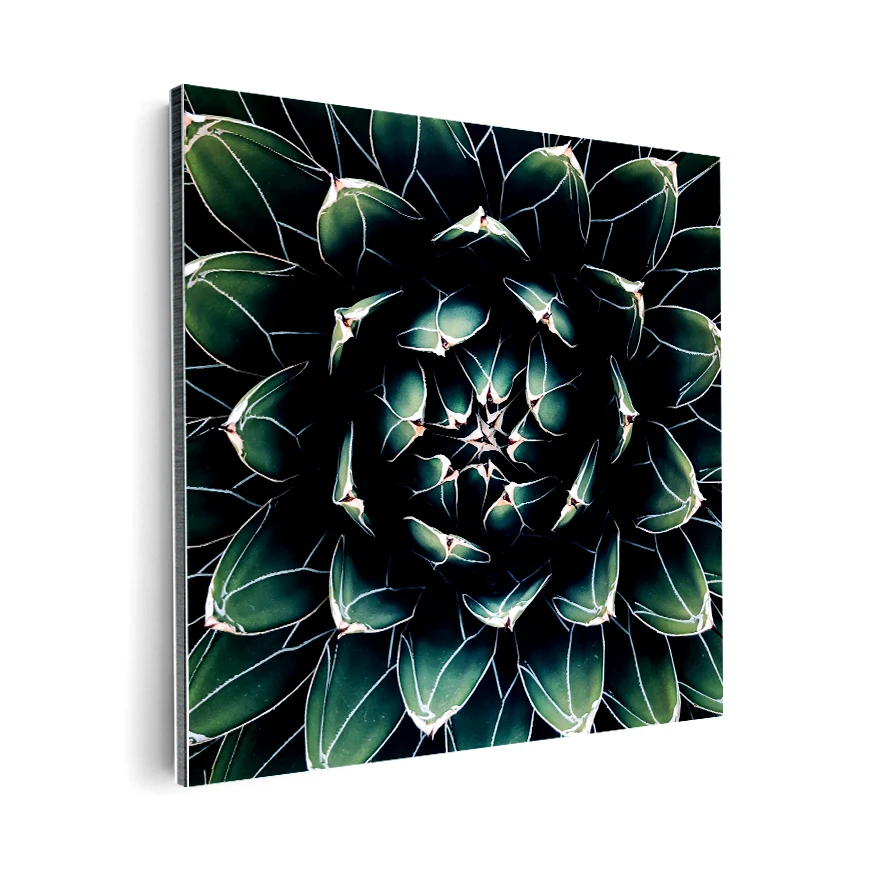Corazón de Cactus Poster