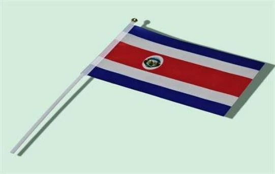 BANDERA CR PEQ 14*21 Cosmo