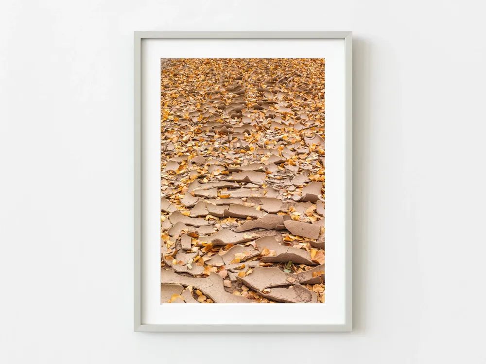 Cauce seco en el otoño | Edición limitada de 10 Dan Kosmayer Photography