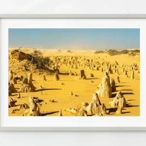 Paisaje lunar de los pináculos | Edición limitada de 10 Dan Kosmayer Photography