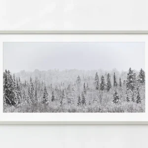 Panorama del bosque canadiense después de las primeras nevadas | Edición limitada de 10 Dan Kosmayer Photography