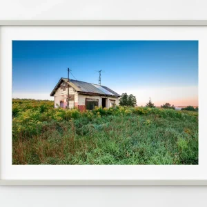Pequeñ casa de una sola habitación abandonada y cubierta de maleza | Edición limitada de 10 Dan Kosmayer Photography