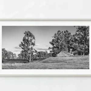 Pequeño viñedo en el valle de Napa al atardecer | Edición limitada de 10 Dan Kosmayer Photography
