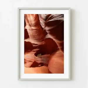 Vibrante muro del Cañón del Antílope y Lone Bush | Edición limitada de 10 Dan Kosmayer Photography