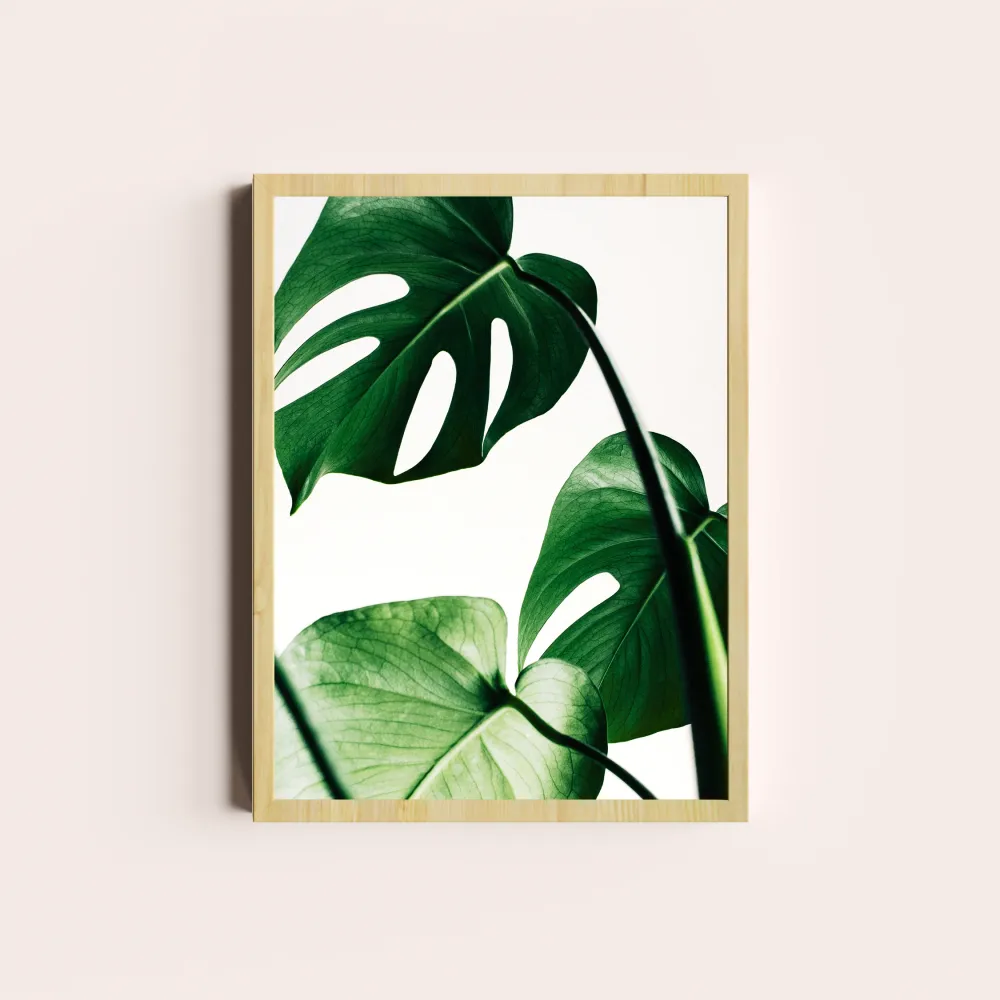 Monstera deliciosa II Depto Textil
