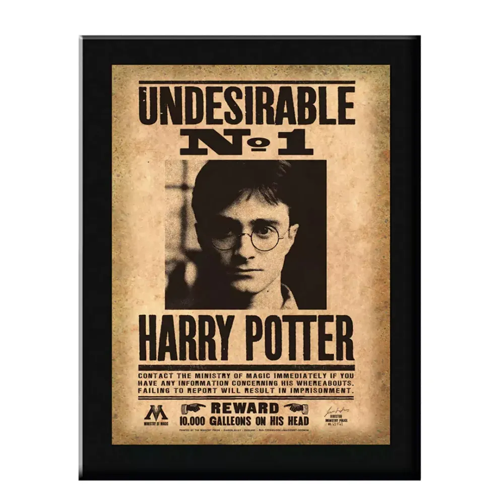 Cuadro Cristal Harry Potter Wanted DESCONOCIDA