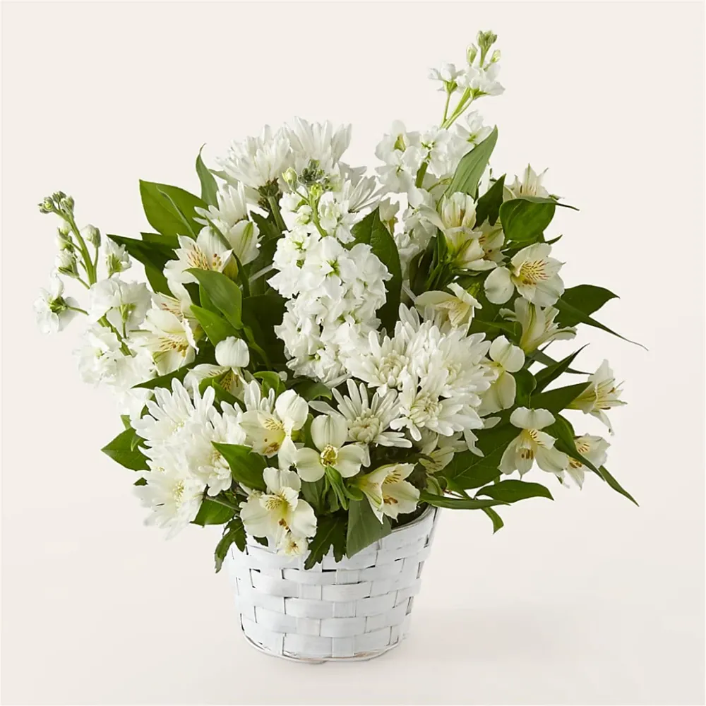Acuerdo de afecto eterno Deux Gars Des Fleurs