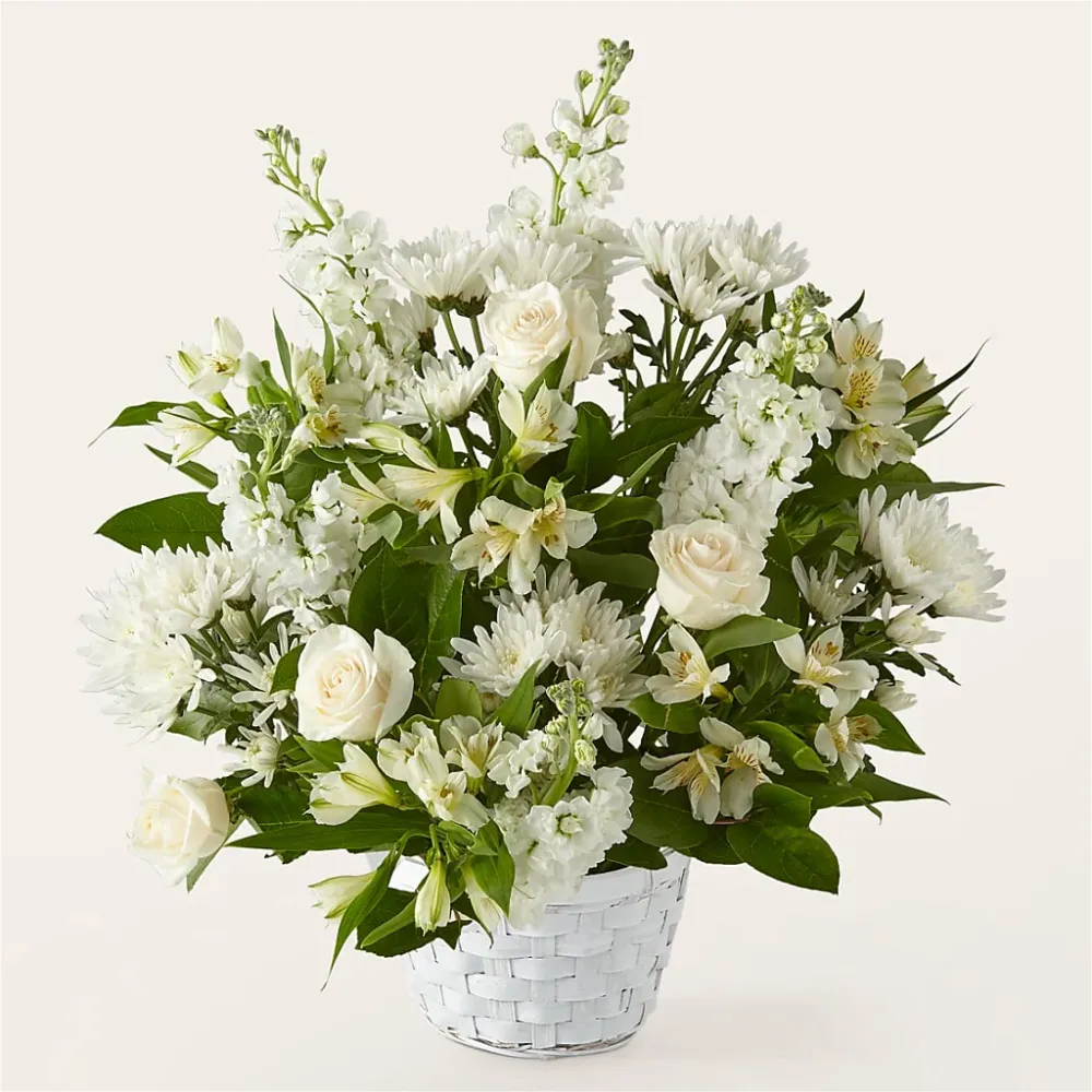 Acuerdo de afecto eterno Deux Gars Des Fleurs