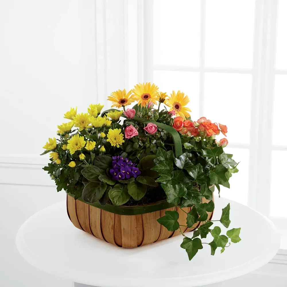 Cesta de flores delicadas Deux Gars Des Fleurs