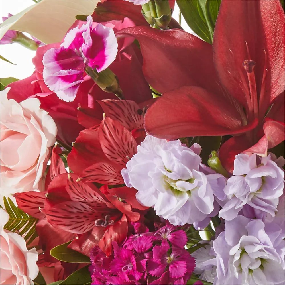 Mejor Juntos - Una Floristerí de Lujo Original Deux Gars Des Fleurs