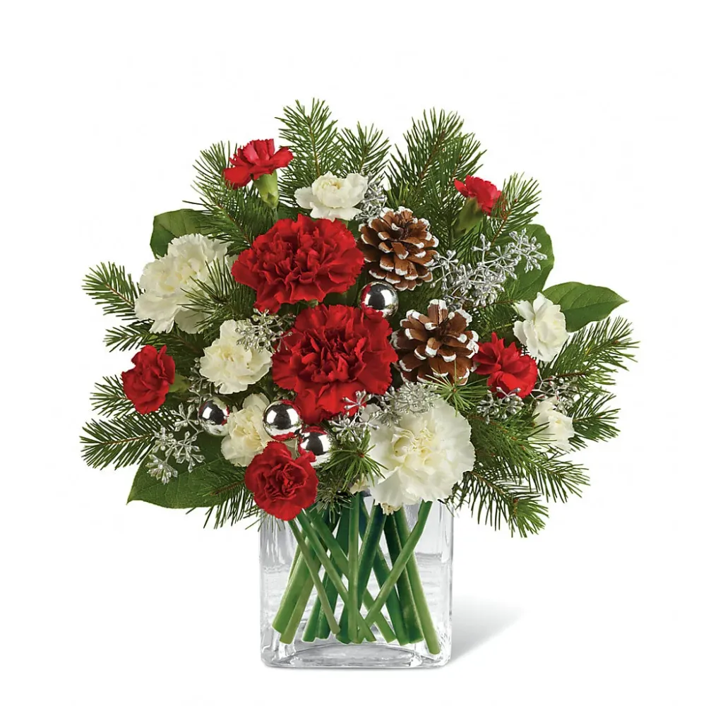 Ramo Bosque Maravilloso Deux Gars Des Fleurs