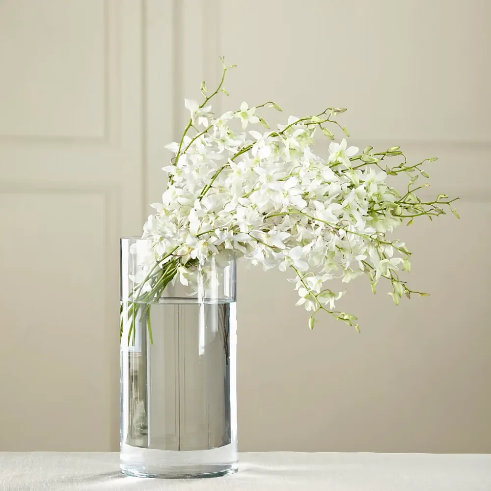 Ramo de dendrobium blanco Deux Gars Des Fleurs