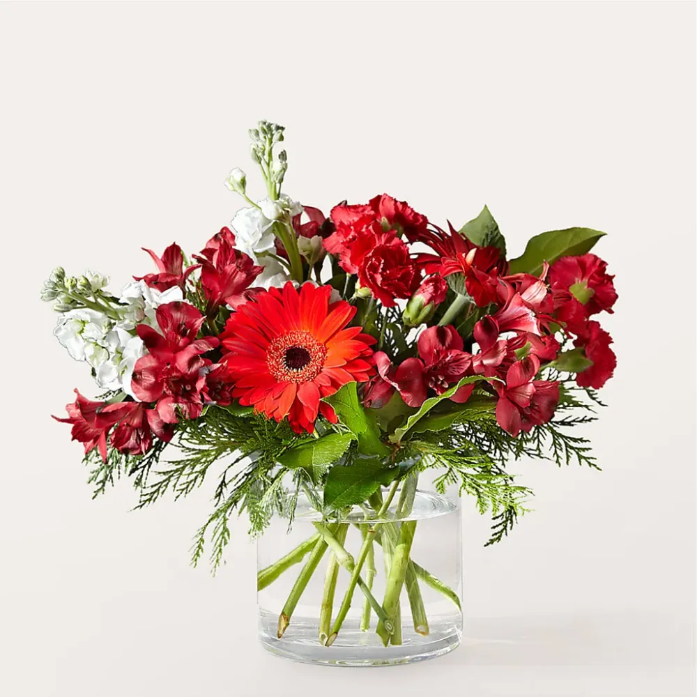 Ramo Holidaisy Deux Gars Des Fleurs