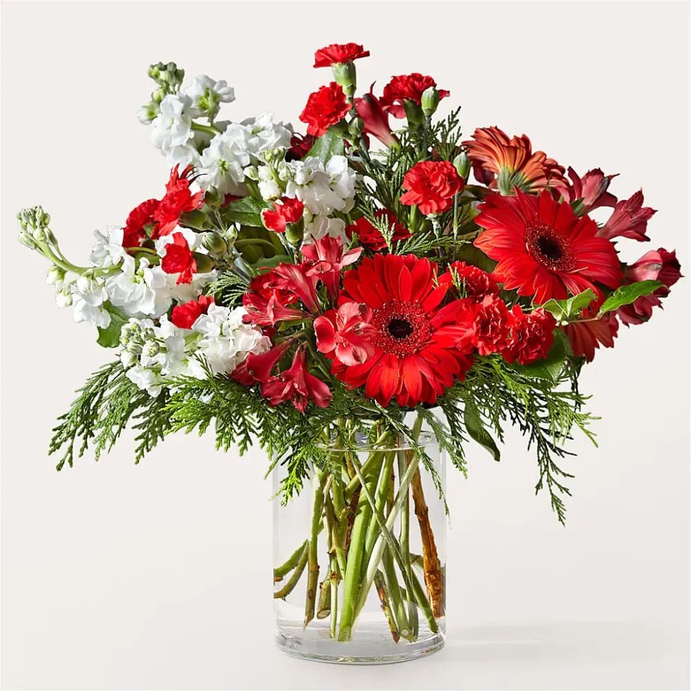 Ramo Holidaisy Deux Gars Des Fleurs