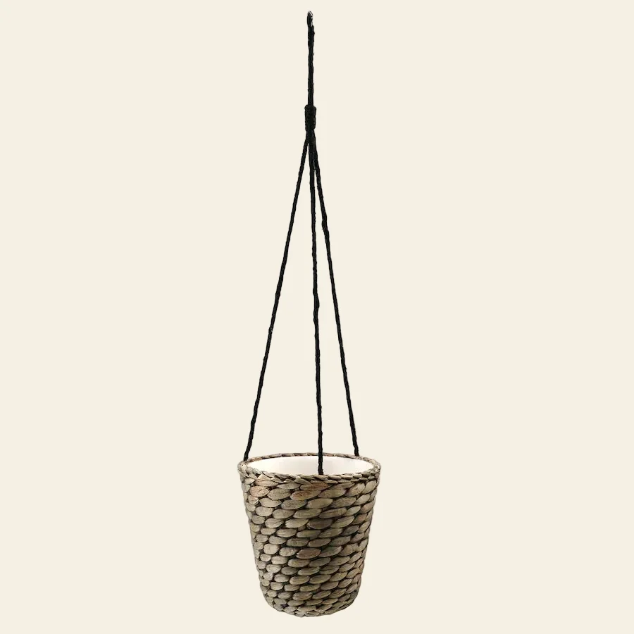 DRUVFRLADER COLGANTE DE PLANTAS
