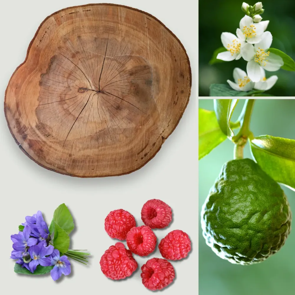 Bloom Berry & Cashmere Eco Candle Project
