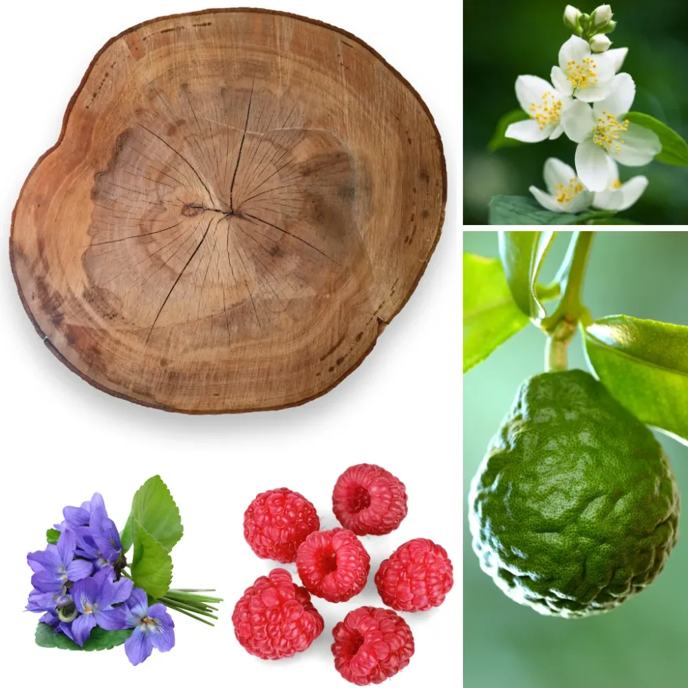 Bloom Berry & Cashmere Eco Candle Project