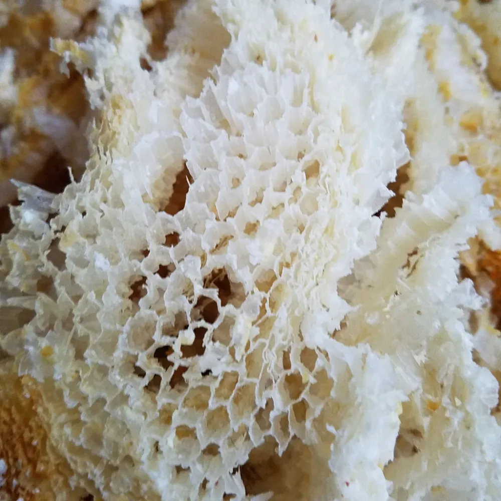 Cera de abejas blancas -cosméticas/alimentos Eco Candle Project