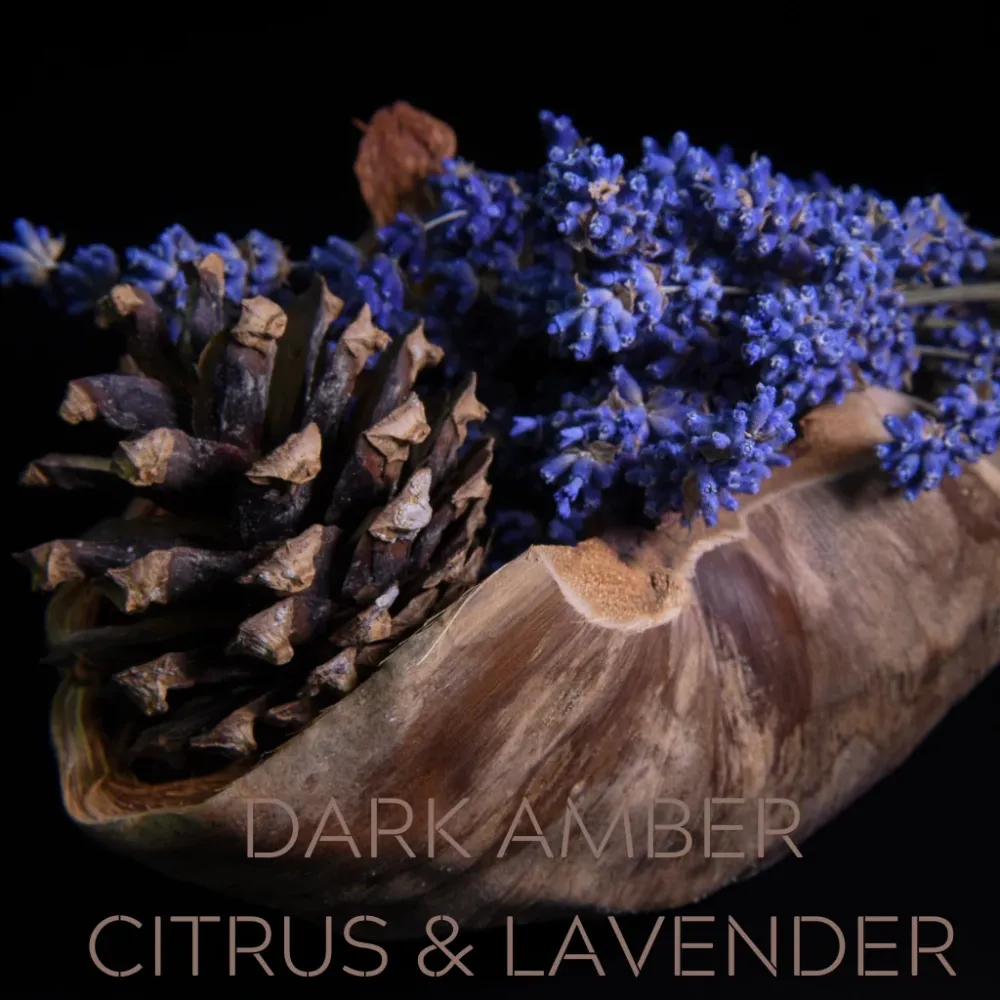 DARK AMBER, CITRUS & LAVENDER Eco Candle Project