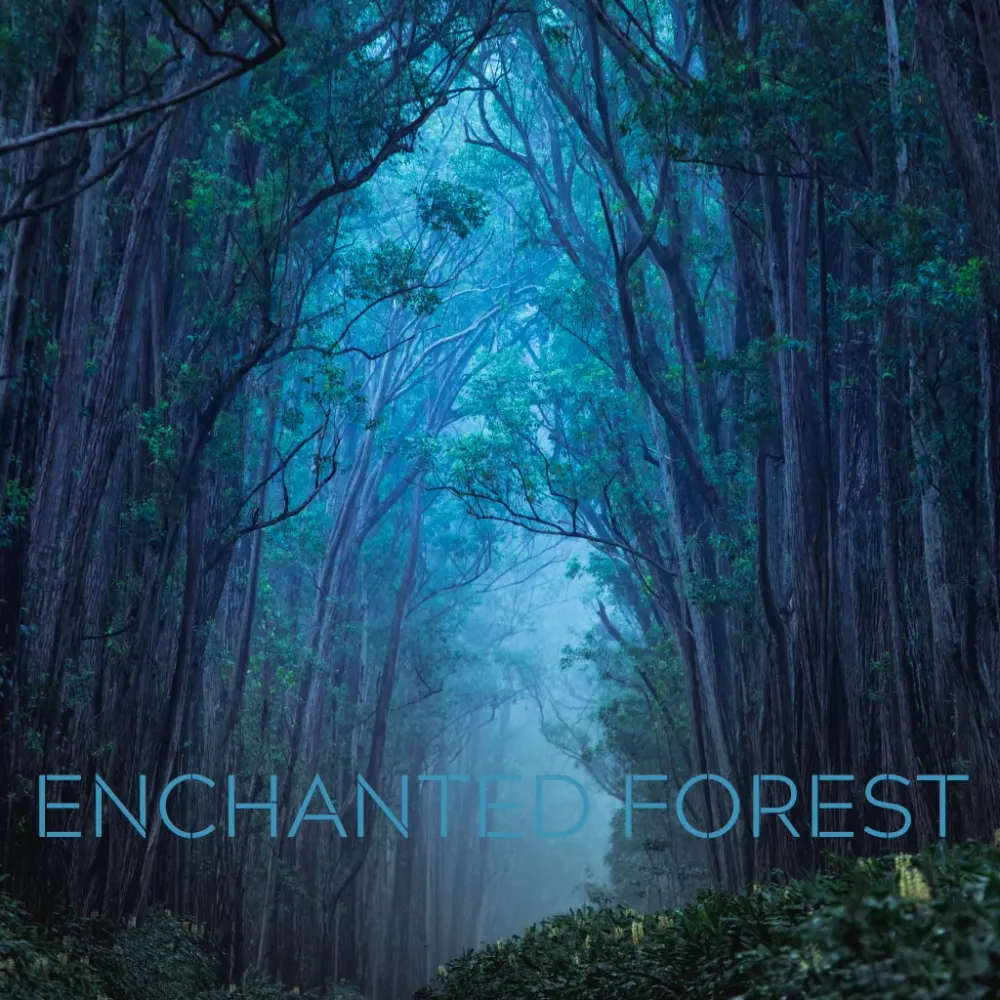 ENCHANTED FOREST Eco Candle Project