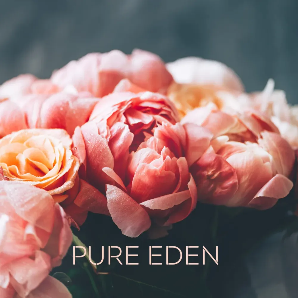 PURE EDEN Eco Candle Project
