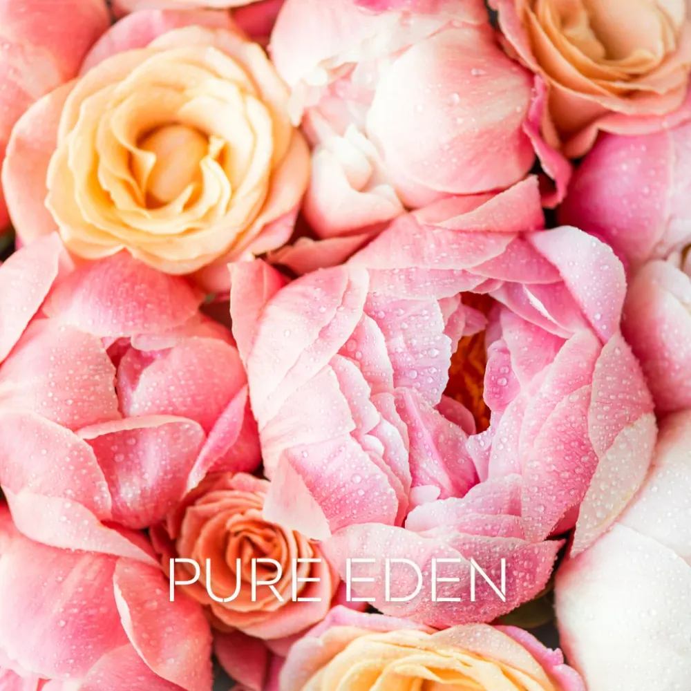 PURE EDEN Eco Candle Project