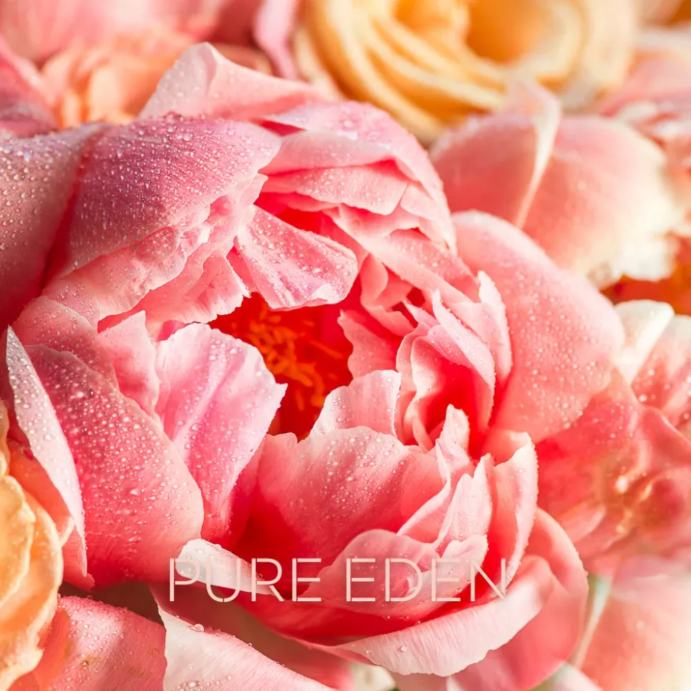 PURE EDEN Eco Candle Project