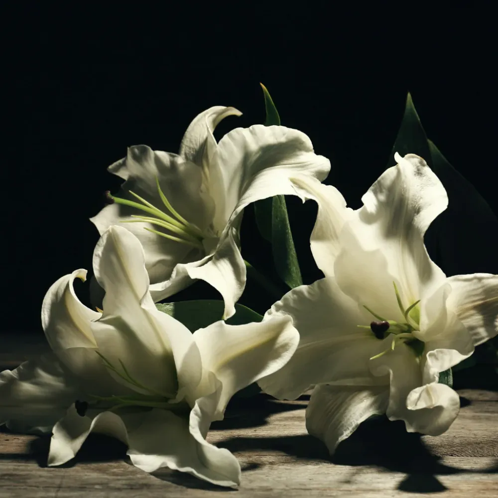<tc>BLACK LILY & ORCHID</tc> 30 Eco Candle Project