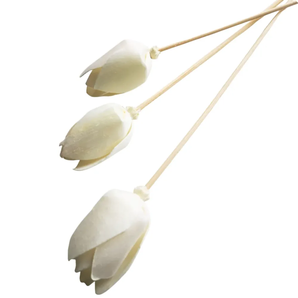 <tc>FLOR DE TULIPAN CON RATAN</tc> Eco Candle Project