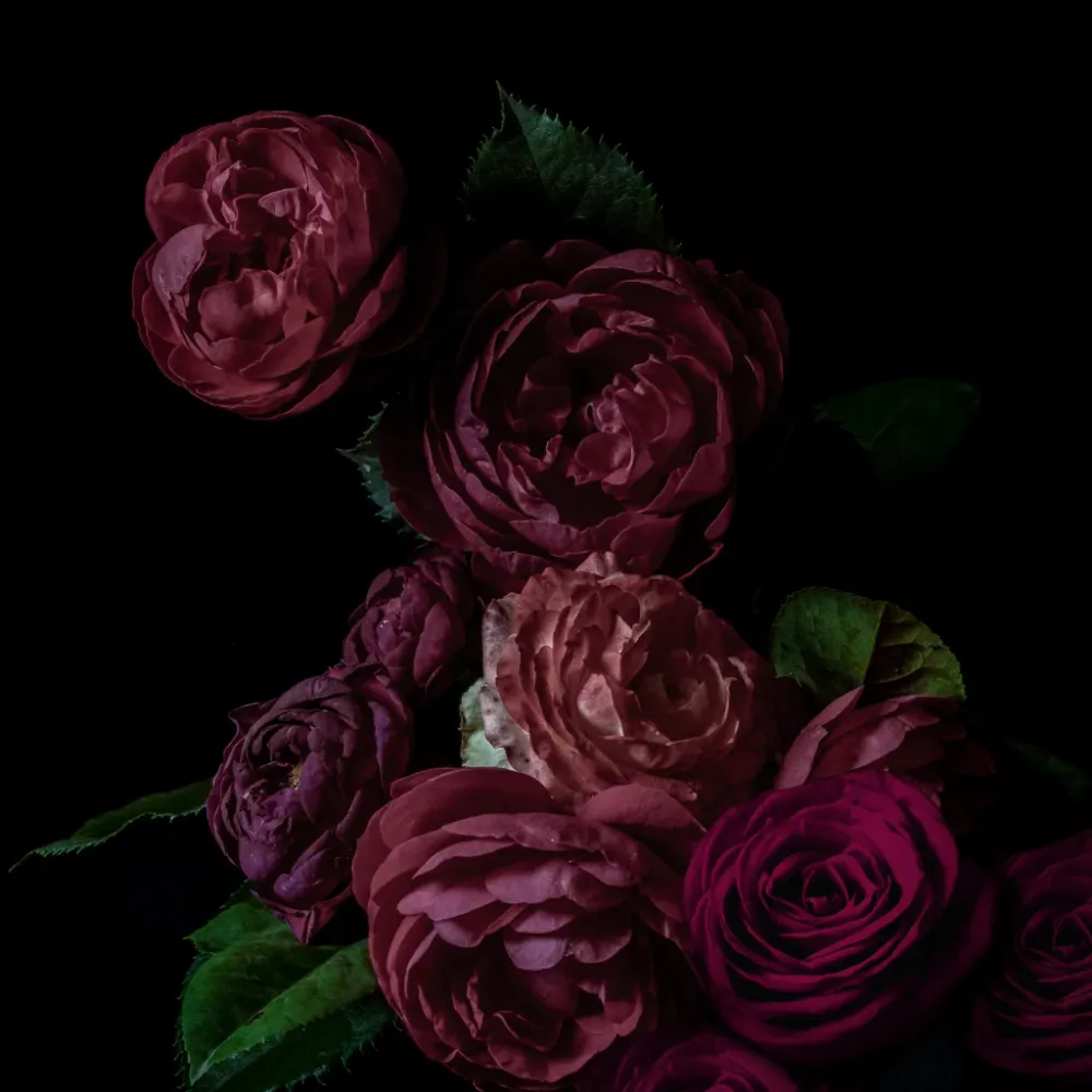 ROSA BÚLGARA Y OUD AHUMADO 30 Eco Candle Project