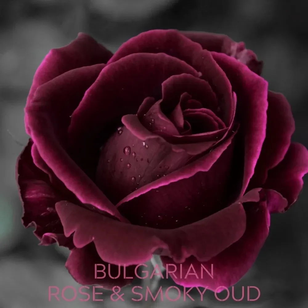 ROSA BÚLGARA Y OUD AHUMADO 30 Eco Candle Project