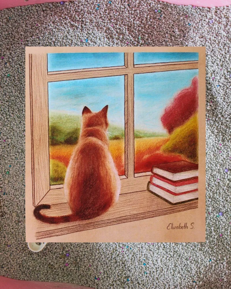 Lámina Gato Ventana Elizabeth Sanduvete
