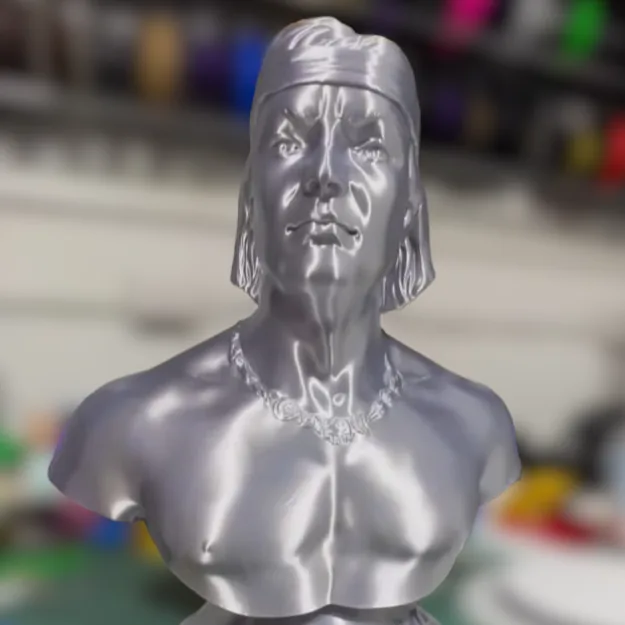 Busto Colo Colo Energia 3D