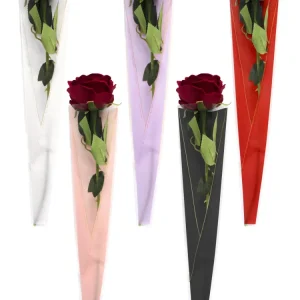 Envoltorio Rosas Be Flower 50 Unidades Pink