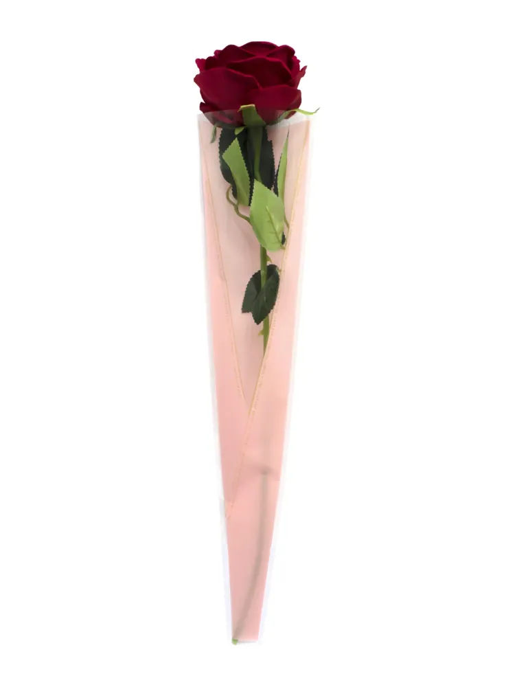 Envoltorio Rosas Be Flower 50 Unidades Pink