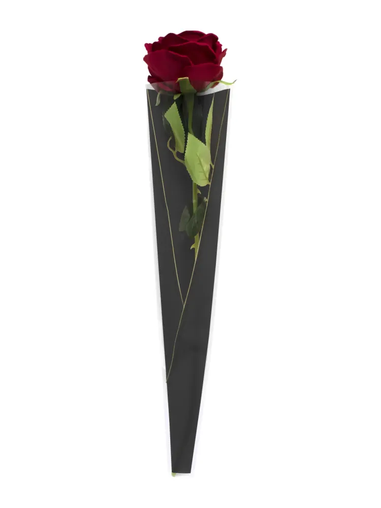 Envoltorio Rosas Be Flower 50 Unidades Pink
