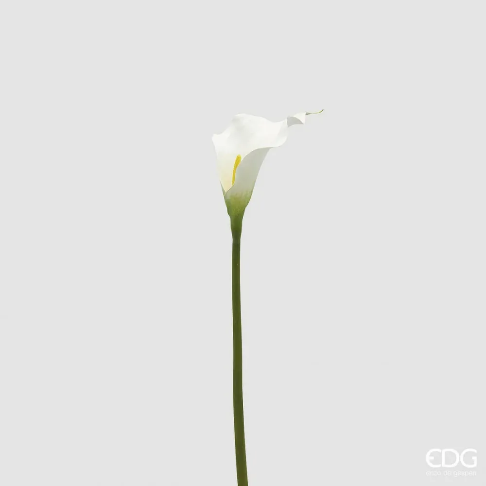 Calla Blanca Artificial Enzo de Gasperi