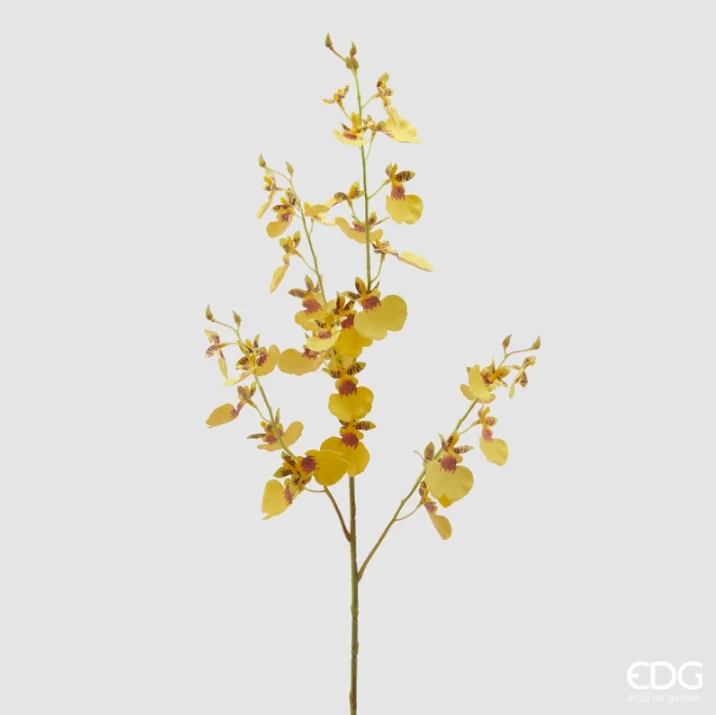 Orquídea Oncidium Artificial Enzo de Gasperi