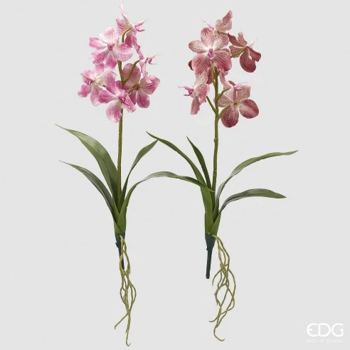 Orquídea Vanda Artificial Enzo de Gasperi