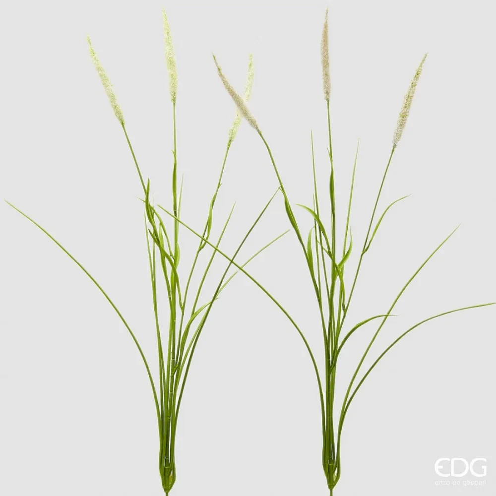 Setaria Artificial Enzo de Gasperi