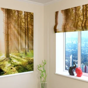 Estores Plegables Soleado Bosque de Pinos