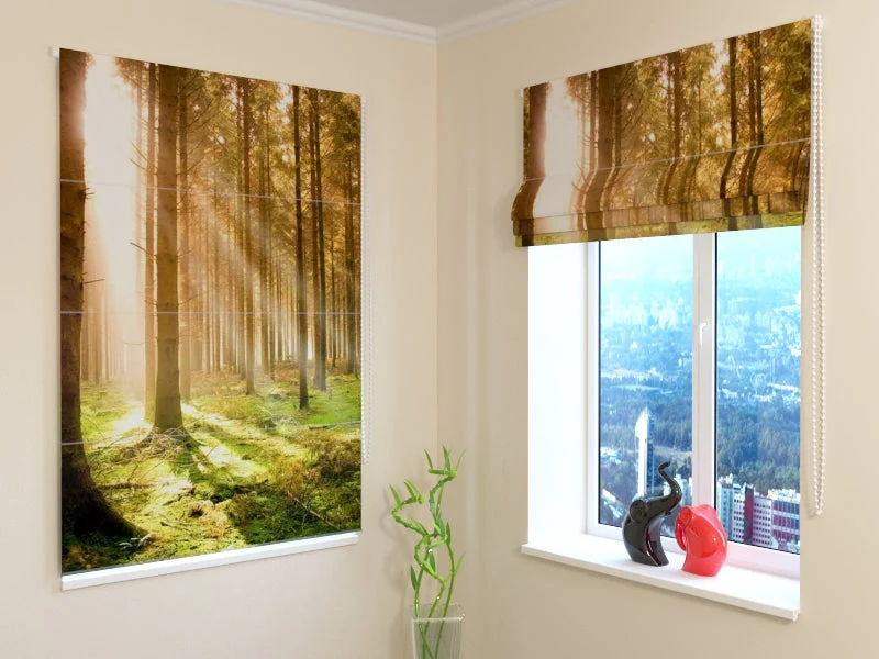 Estores Plegables Soleado Bosque de Pinos