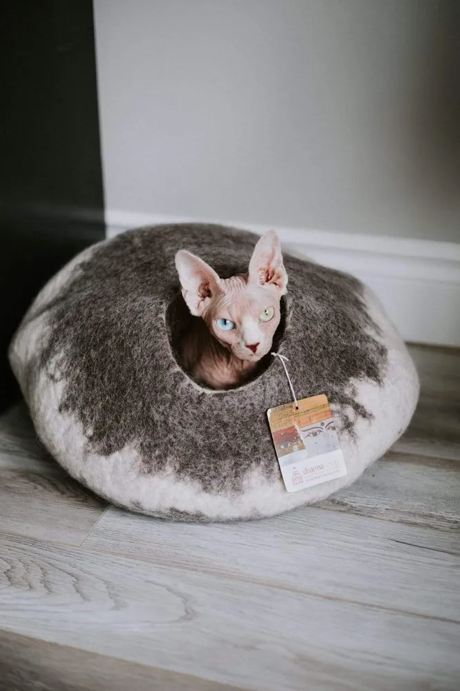 Cueva del gato del Himalaya Everest Fashion