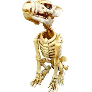 Esqueleto Lobo 24 Cm Halloween Feco
