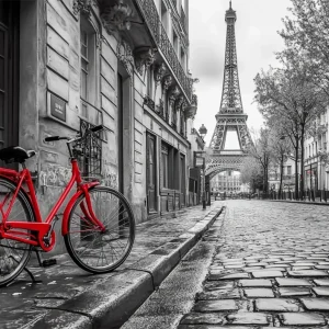 La bici de la Torre Eiffel Fine Artic