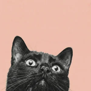 Cat pasado Fine Artic